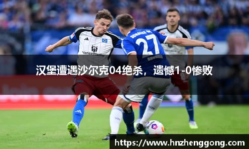 汉堡遭遇沙尔克04绝杀，遗憾1-0惨败